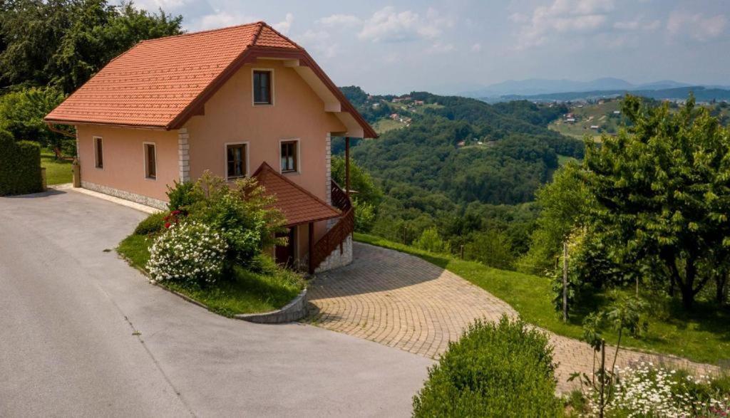 Planinca -Hisa Z Razgledom Apartment Smarje pri Jelsah Exterior photo